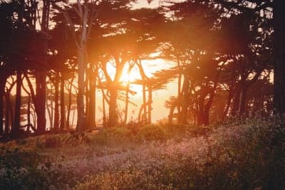 Lands End