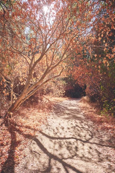 Pinnacles National Park, CA