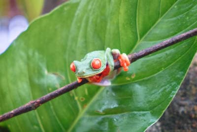 La Fortuna, Costa Rica
