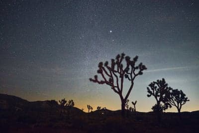 Joshua Tree National Park, CA